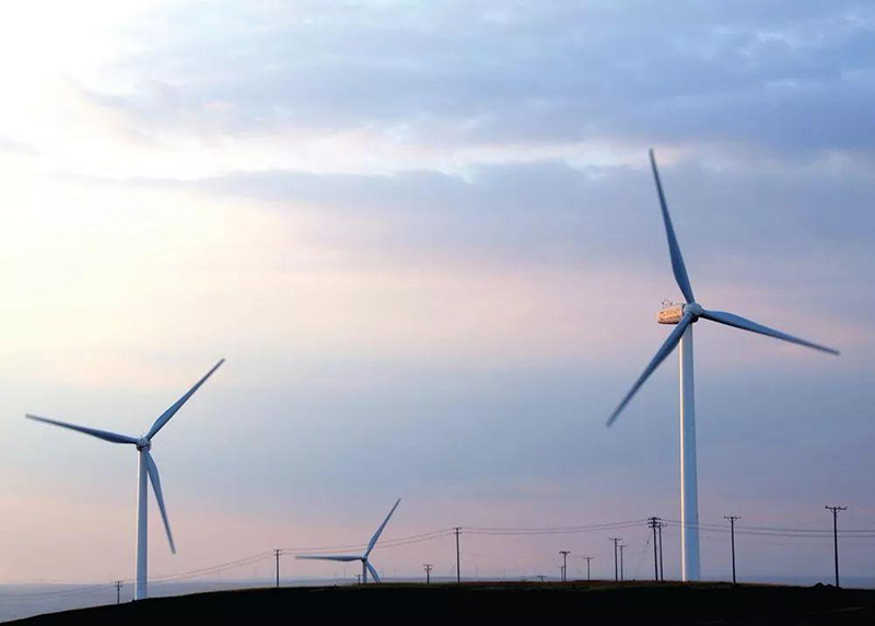 5febd9b363ddc.jpg 01.jpg