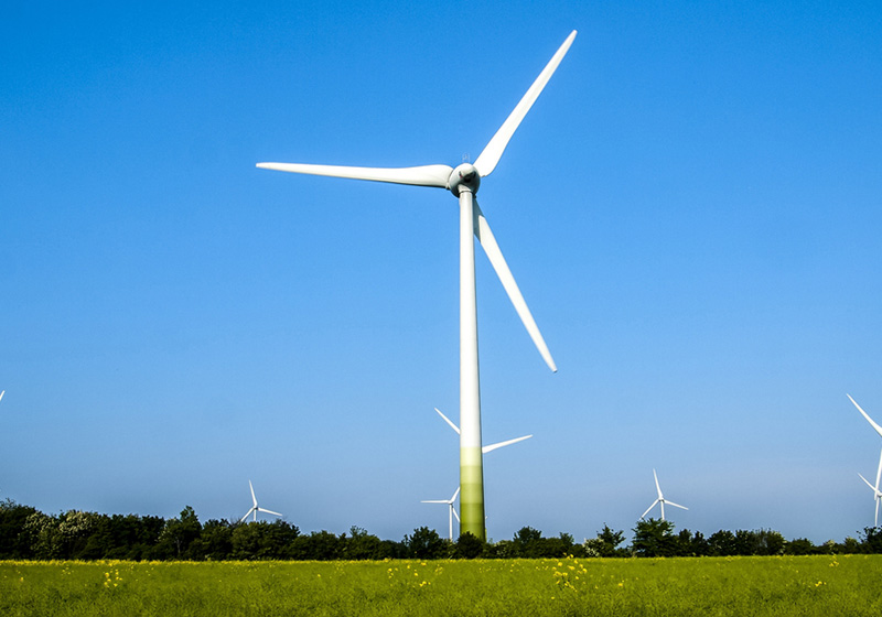 5ff7f2ac9cdfd.jpg 01.jpg