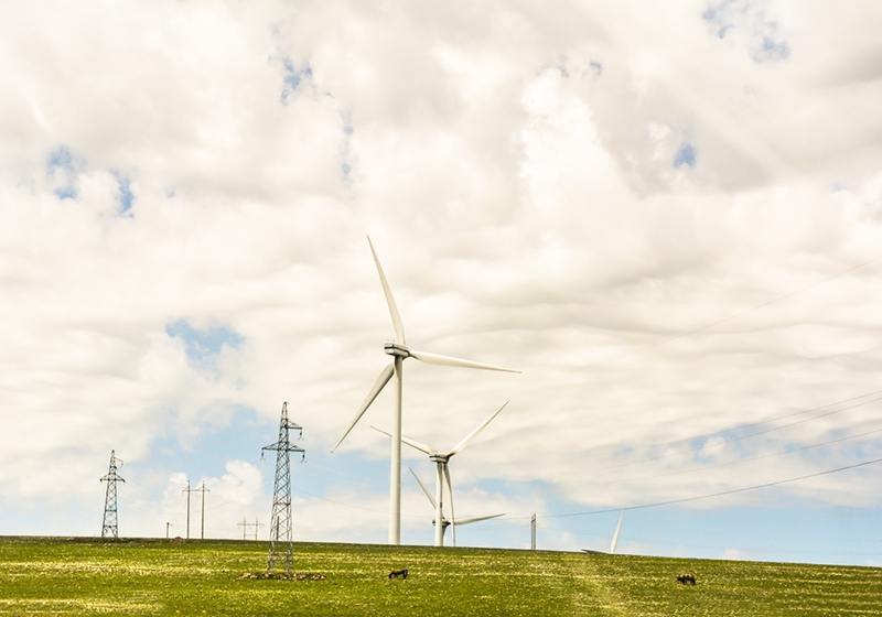 5fffa59cb0528.jpg 01.jpg