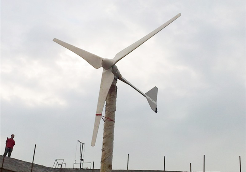 64c8a9938eaa5.jpg 01.jpg