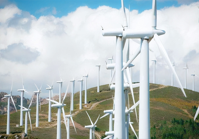 65488c8b0ae63.jpg 01.jpg